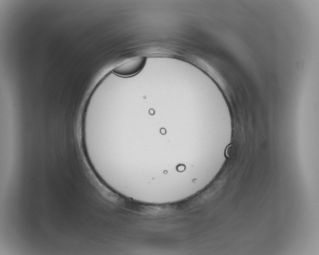 X0000111501195200908041156