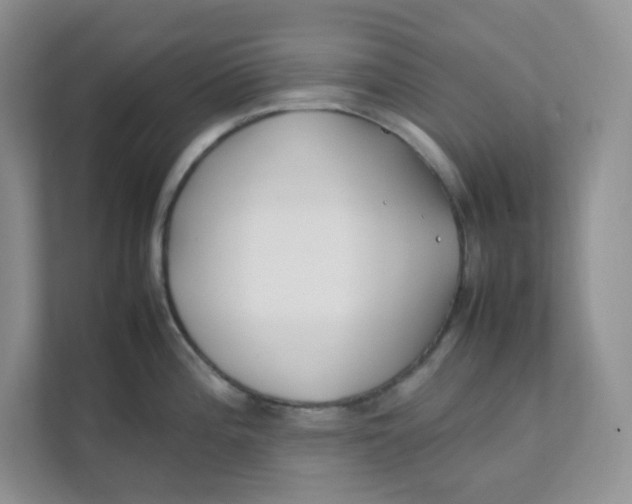 X0000111501196200908041156