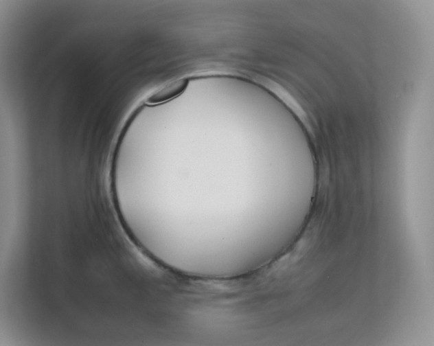 X0000111501197200908041156