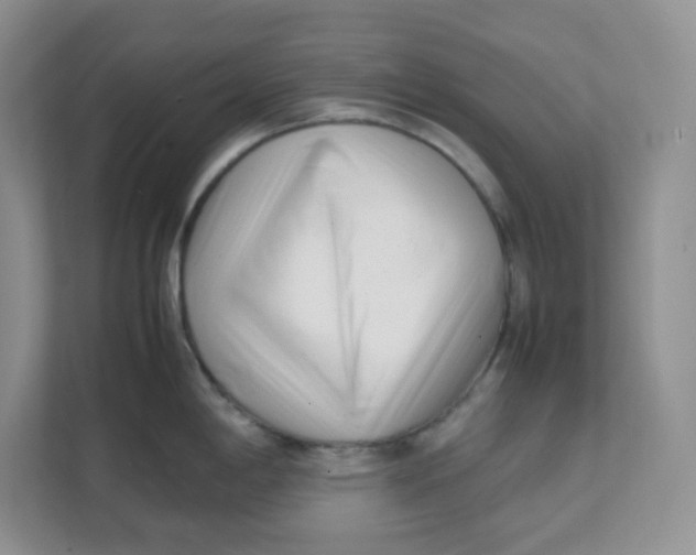 X0000111501198200908041156