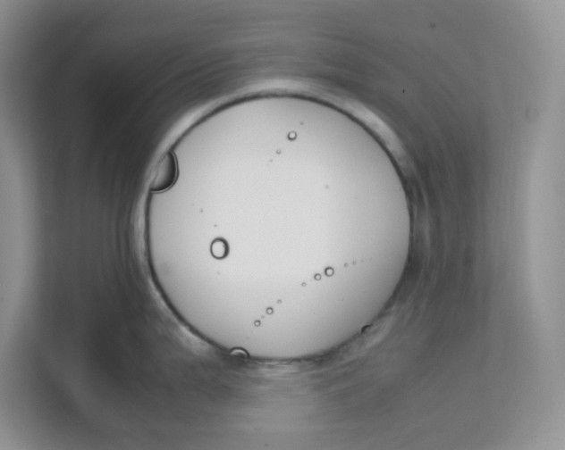 X0000111501199200908041156