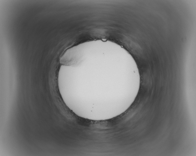 X0000111501201200908041155