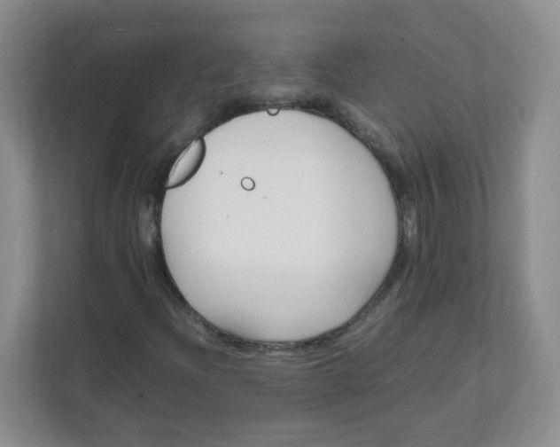 X0000111501204200908041155