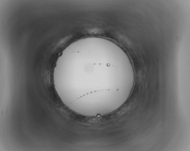 X0000111501205200908041155