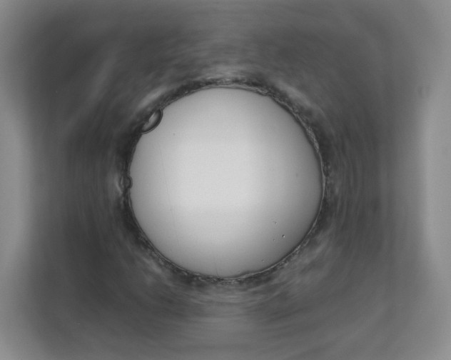 X0000111501206200908041155