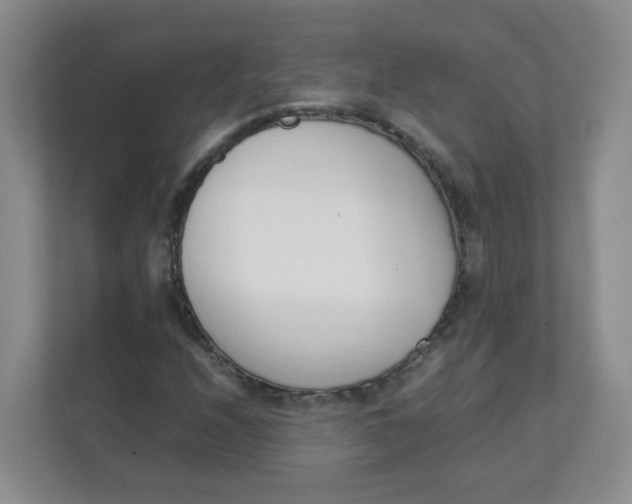 X0000111501208200908041155