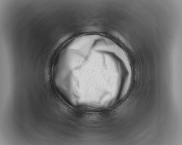 X0000111501213200908041155