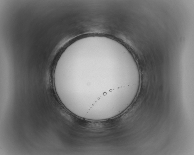 X0000111501215200908041155