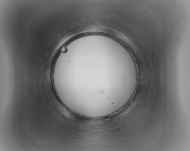 X0000111501216200908041155