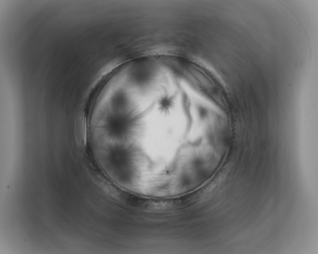 X0000111501219200908041155