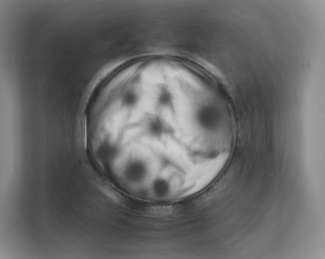 X0000111501223200908041155