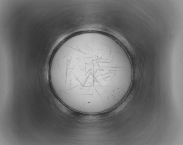 X0000111501224200908041155