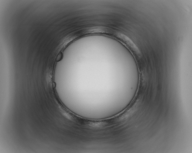 X0000111501225200908041155