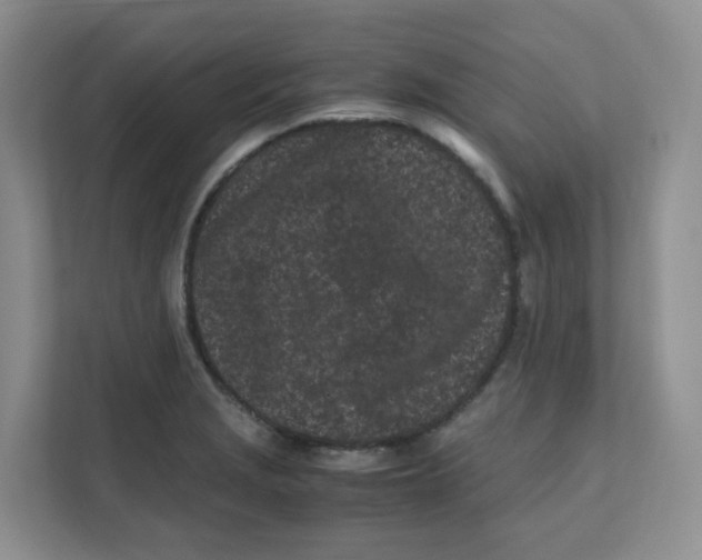 X0000111501229200908041156