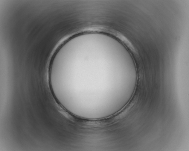 X0000111501232200908041156