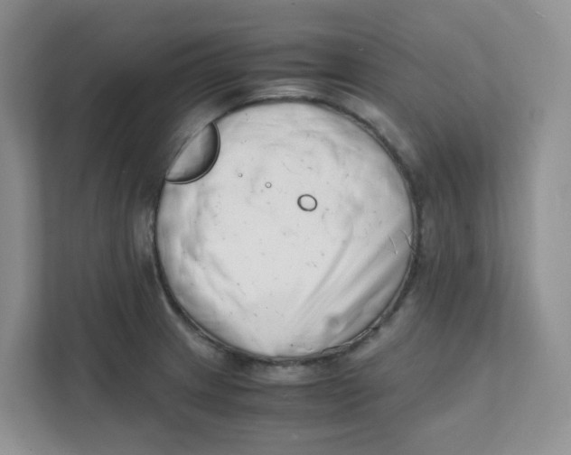 X0000111501233200908041156