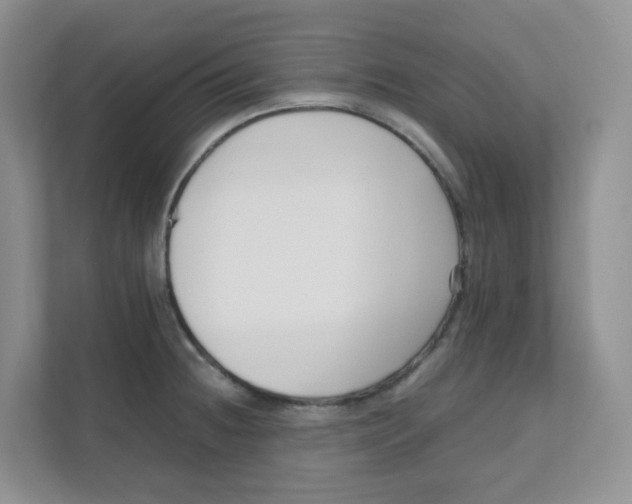 X0000111501236200908041156