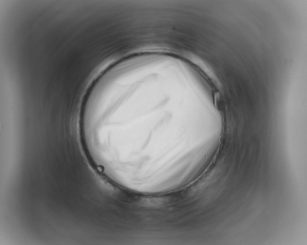 X0000111501237200908041156