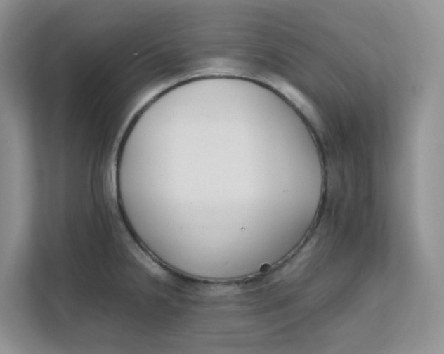 X0000111501238200908041156