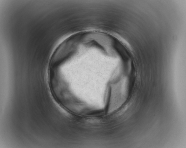 X0000111501239200908041156