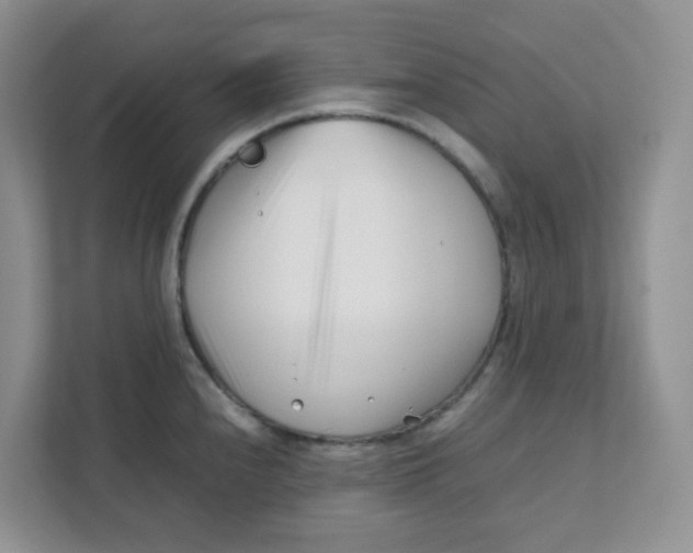 X0000111501240200908041156