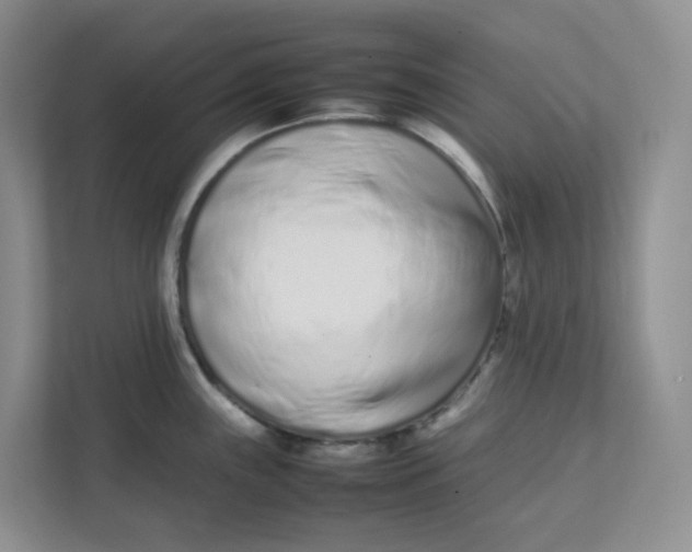 X0000111501243200908041156