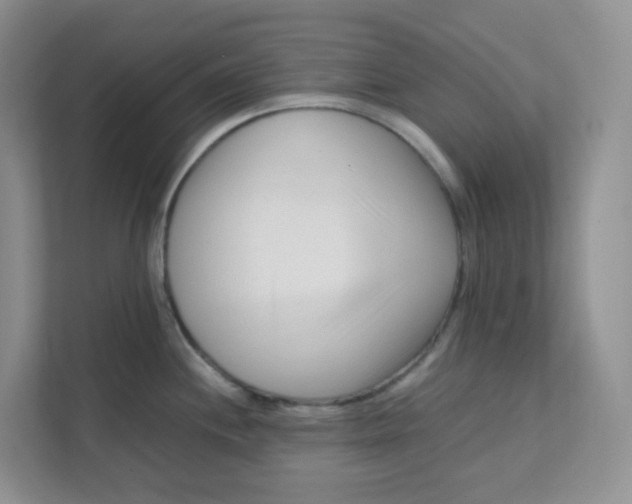 X0000111501244200908041156