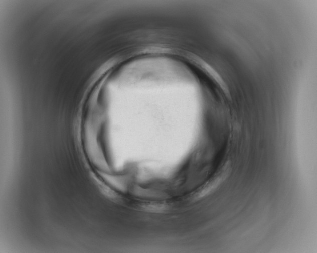 X0000111501245200908041156