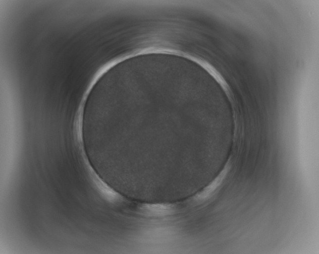 X0000111501246200908041156