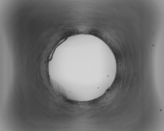 X0000111501249200908041155