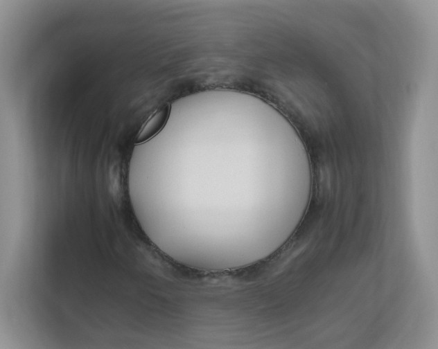 X0000111501250200908041155