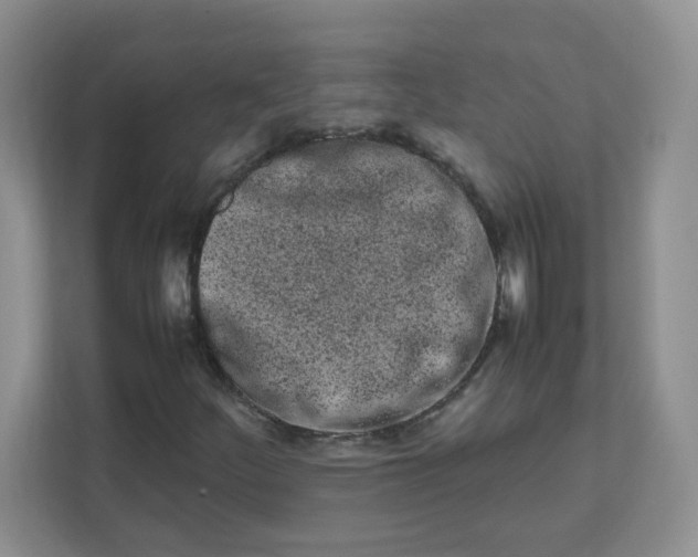 X0000111501252200908041155