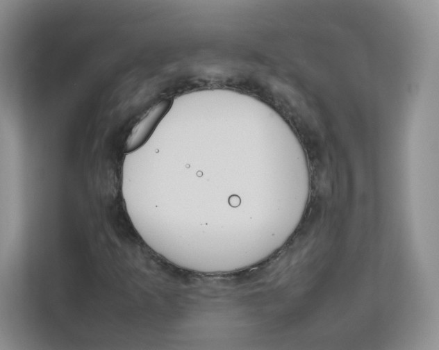 X0000111501253200908041155