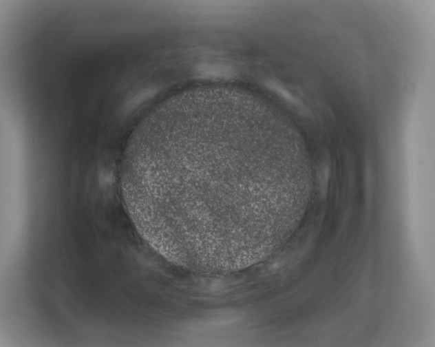 X0000111501254200908041155