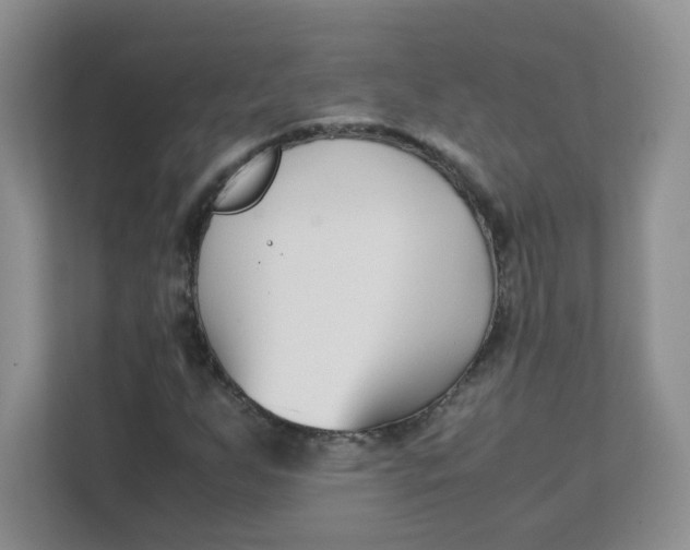 X0000111501255200908041155