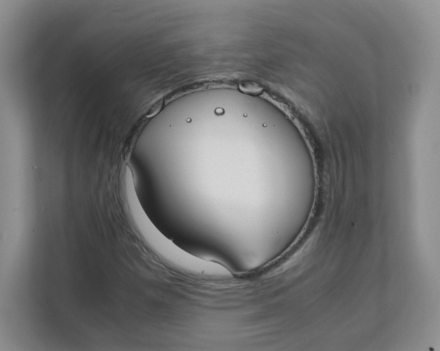 X0000111501257200908041155