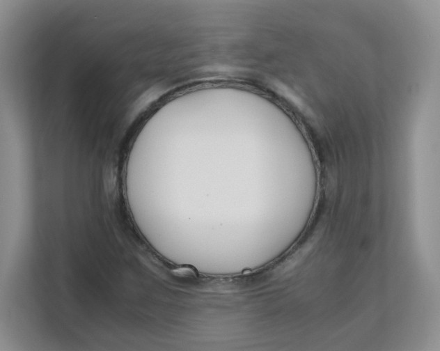 X0000111501259200908041155