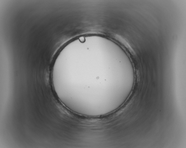 X0000111501260200908041155