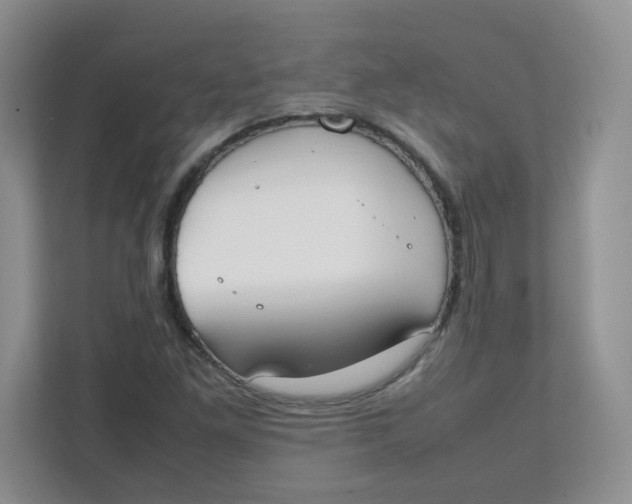 X0000111501261200908041155