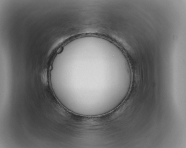 X0000111501262200908041155