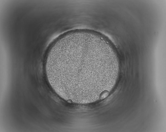 X0000111501263200908041155