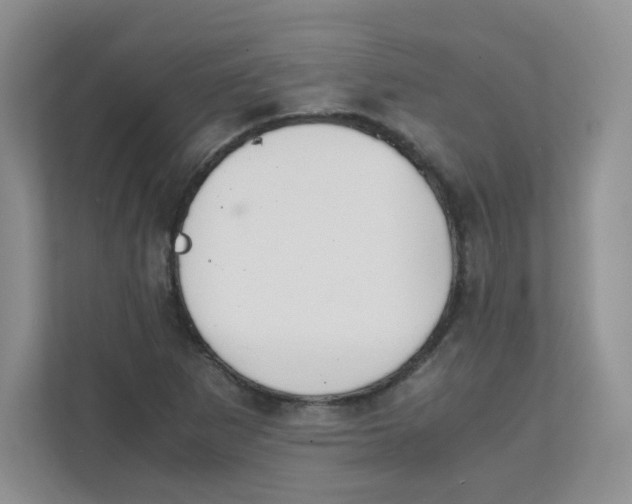 X0000111501265200908041155