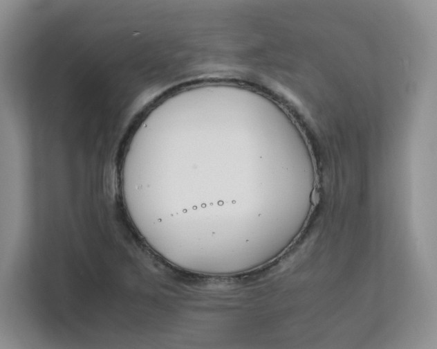 X0000111501267200908041155