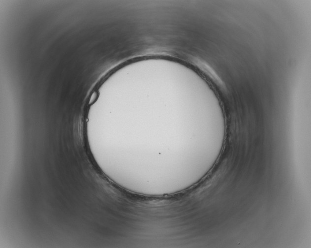 X0000111501268200908041155