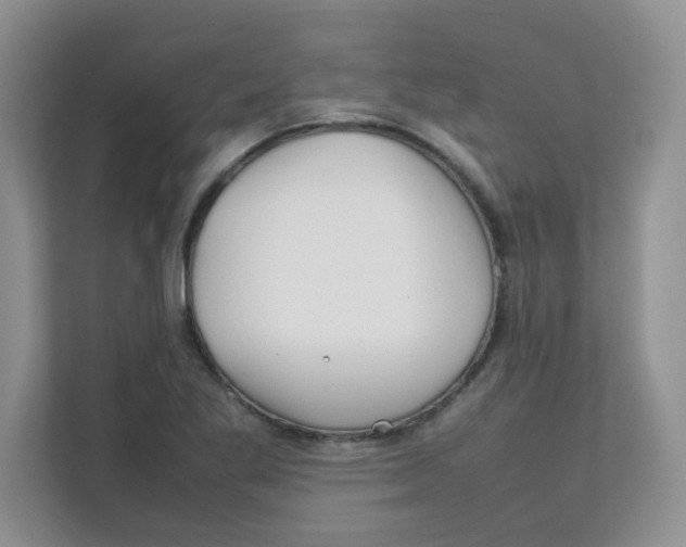 X0000111501269200908041155