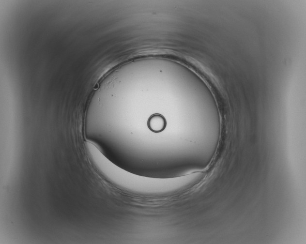 X0000111501273200908041155