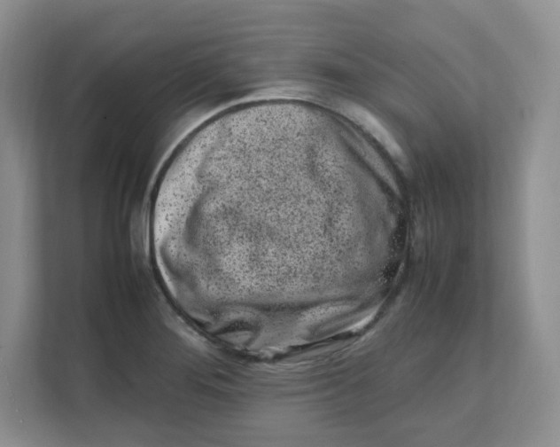 X0000111501276200908041155