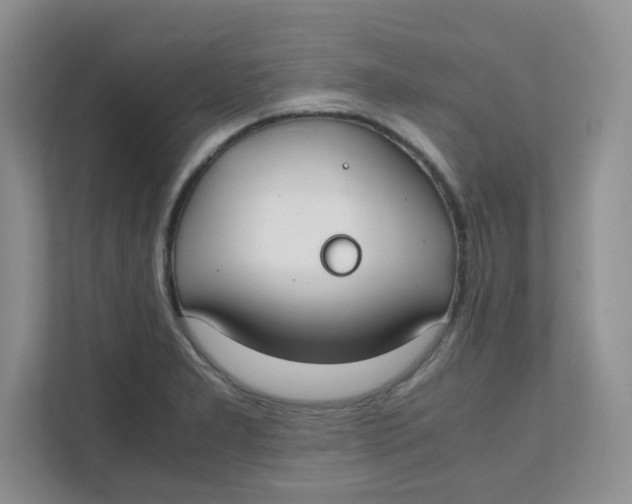 X0000111501277200908041155