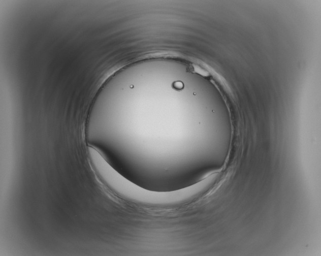 X0000111501281200908041155