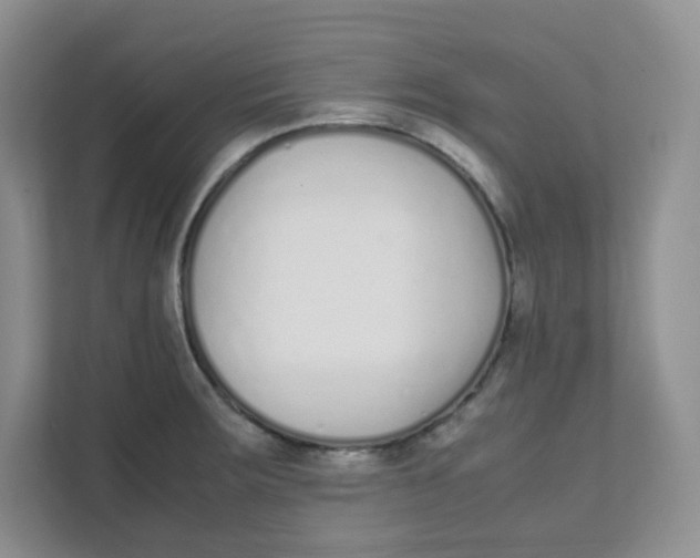 X0000111501283200908041155